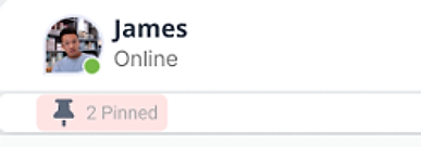 Pinned message bar below the Chat Top Bar