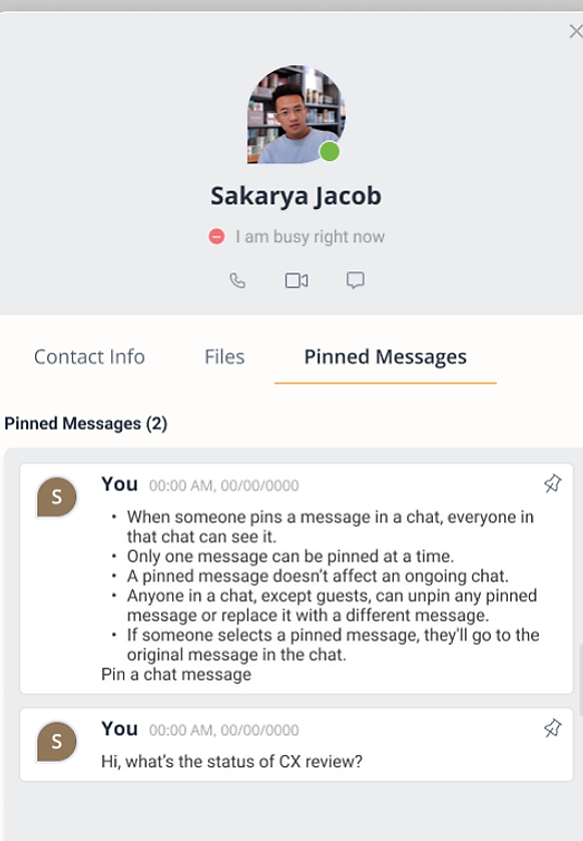 Direct message Profile modal on the Pinned Messages tab