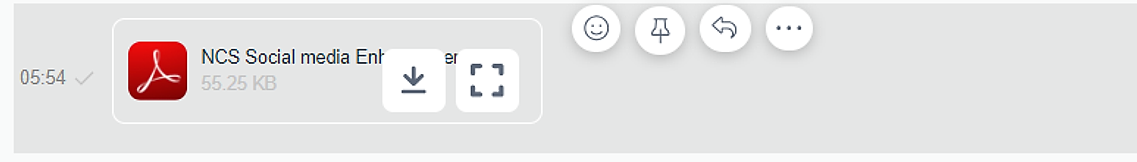 Download and Full View options on a file